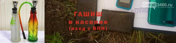 ПСИЛОЦИБИНОВЫЕ ГРИБЫ Алзамай
