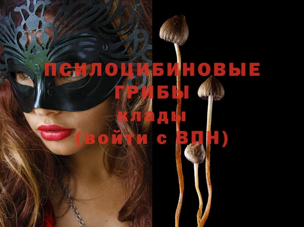 ПСИЛОЦИБИНОВЫЕ ГРИБЫ Алзамай