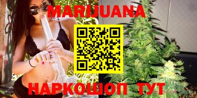 прущие грибы Усть-Джегута