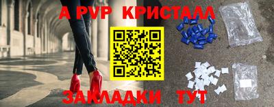 прущие грибы Усть-Джегута