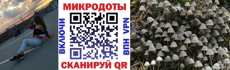 Галлюциногенные грибы мицелий Невинномысск