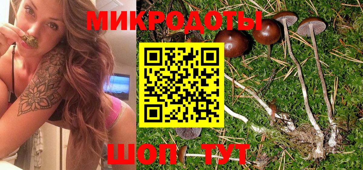 Псилоцибиновые грибы прущие грибы  Вход с VPN  Невинномысск 